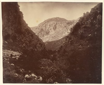Le grand Langon (Kreeta). tekijältä William J. Stillman