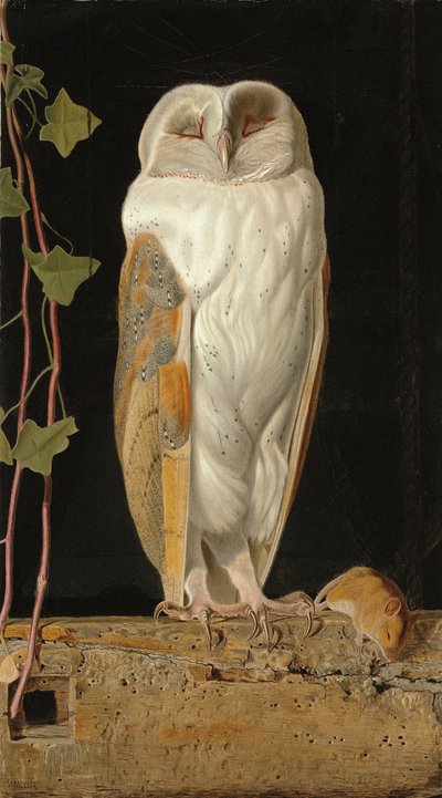 Valkoinen pöllö: "Yksin ja lämmitellen viittä järkeään, valkoinen pöllö istuu kellotapulissa", 1856 tekijältä William J. Webbe