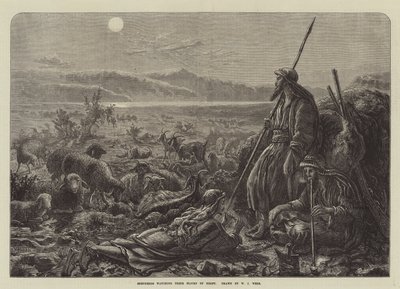 Paimenet tarkkailevat laumaansa yöllä tekijältä William J. Webbe or Webb