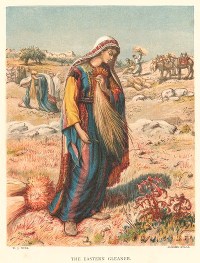 The Eastern Gleaner (värillinen kaiverrus) tekijältä William J. Webbe or Webb