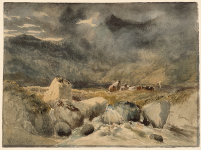  tekijältä William James (after) Muller