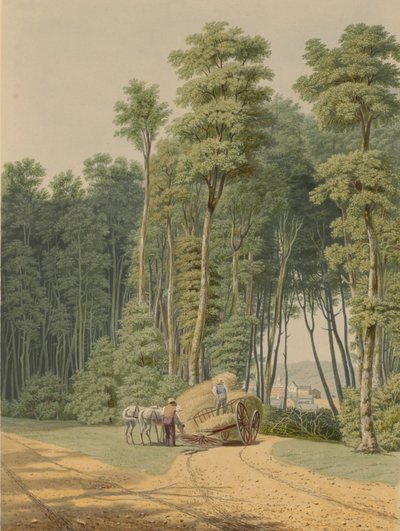 Kesä - liikenneonnettomuus. Vilaus Alkumetsän avaamisesta... 1841. tekijältä William James Bennett