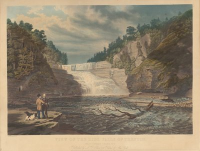 Näkymä Trentonin High Falls -putouksille: West Canada Creek, New York tekijältä William James Bennett