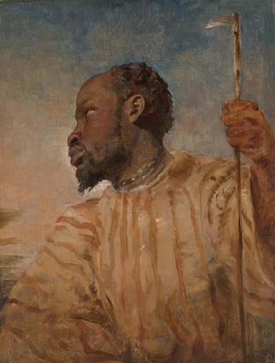 Orjuutettu afrikkalainen tekijältä William James Muller