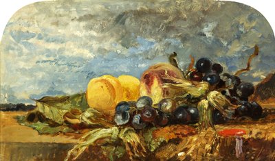 Hedelmäpala tekijältä William James Muller