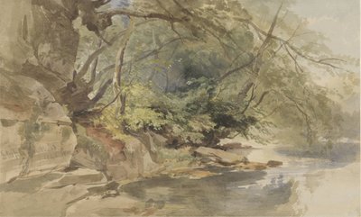 Kasvot Stapleton Woodissa, lähellä Bristolia tekijältä William James Muller