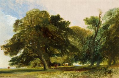 Kingsweston Park - Sketch, n. 1833 (öljy kankaalle) tekijältä William James Muller