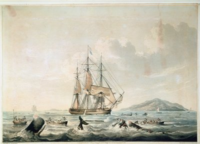 Etelämeren valaanpyynti, kaiverrettu T. Sutherlandin toimesta. tekijältä William John (after) Huggins
