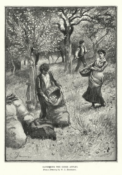 Siiderin omenoiden kerääminen (litografia) tekijältä William John Hennessy