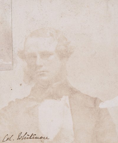 Kokoelma brittiläisiä kalotyyppejä ja puukaiverruksia, 1850-luku. tekijältä William John Newton