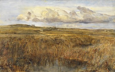 Rhoscolyn, Anglesey tekijältä William Joseph J.C. Bond
