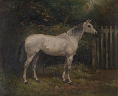 Suolakurkku: Basuto-poni, n. 1904 (öljy kankaalle) tekijältä William Josiah Redworth