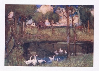 Meluiset hanhet, jotka kulkivat altaalla (väri litho) tekijältä William Lee Hankey