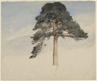 Skotlantilainen kuusi tekijältä William Leighton Leitch