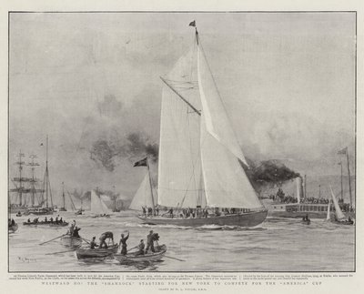 Westward Ho, Shamrock alkaa New Yorkista kilpailemaan America Cupista tekijältä William Lionel Wyllie