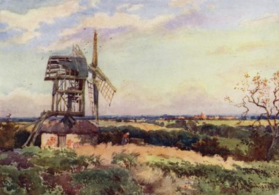 Madingleyn tuulimylly tekijältä William Matthison