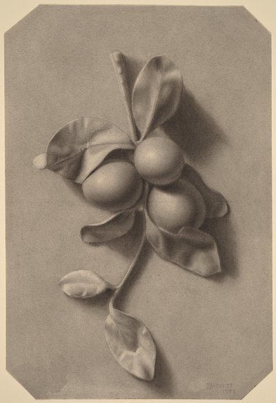  tekijältä William Michael Harnett