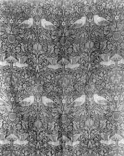 William Morrisin (1834-96) "Bird"-suunnittelu (kudottu villa) (mv/w print) (värikuva, katso 136483) tekijältä William Morris