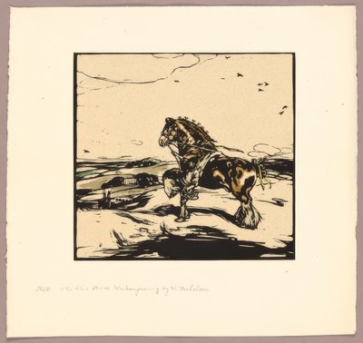 Shiren hevonen tekijältä William Nicholson