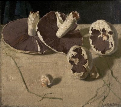 Sienet tekijältä William Nicholson