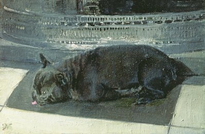 Napoleon tekijältä William Nicholson