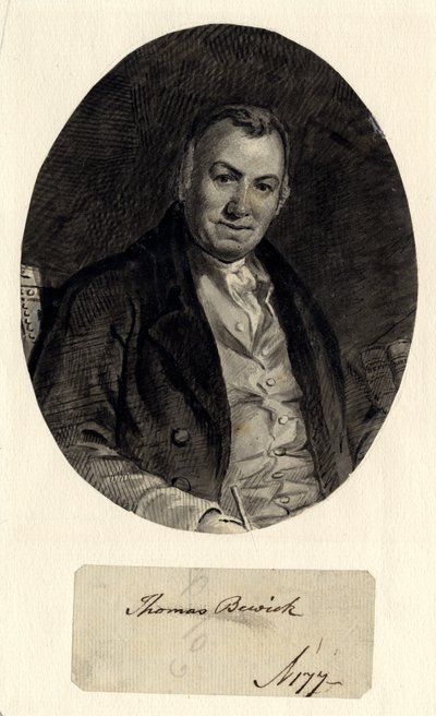 Thomas Bewickin muotokuva (muste paperille (liimattu paperille)) tekijältä William Nicholson