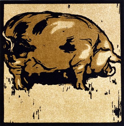 The Learned Pig, The Square Book of Animals -kirjasta, kustantaja William Heinemann tekijältä William Nicholson