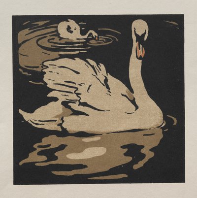 Eläinten neliökirja: Kaunis joutsen tekijältä William Nicholson