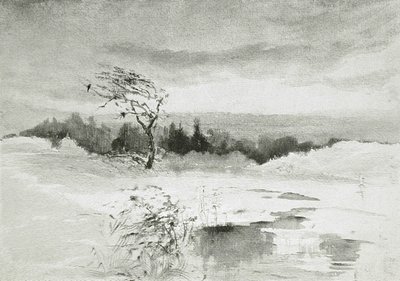 Maisema, jossa on vettä ja tuulinen puu tekijältä William Parsons Winchester  Dana