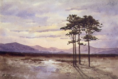 Auringonlasku, Sligon kreivikunta (akvarelli paperille) tekijältä William Percy French