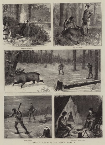 Hirvenmetsästys Nova Scotiassa tekijältä William Ralston
