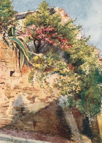 Kadunkulma, Cagnes (värilitro) tekijältä William Scott