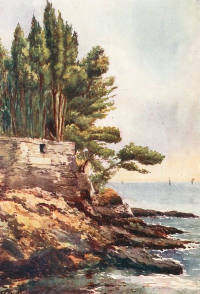 Capo Lungo, Nervi (värilitra) tekijältä William Scott