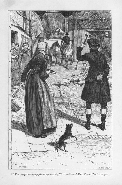 Rouva Poyser, Hetty Sorrelin maanviljelijäsedän Martin Poyserin vaimo, Squire Donnithornen kanssa, jonka poika Arthur vietteli Hetyn. Rouva Poyser on ehkä George Eliotin menestynein sarjakuvahahmo. Adam Bede, George Eliot, julkaistu ensimmäisen kerran 1859 tekijältä William Small