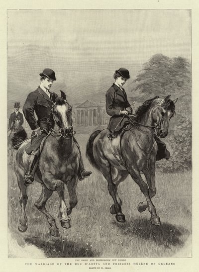 Duc D
