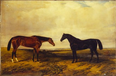 Earl of Granardin kirkas lahden tamma ja tumma lahden ori, 1885 tekijältä William Snr. Luker