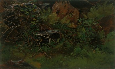 Tutkimus luonnosta. tekijältä William Stanley Haseltine