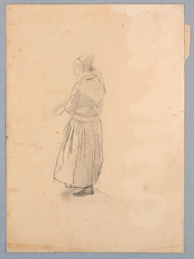 Tutkimus naisesta tekijältä William Stanley Haseltine