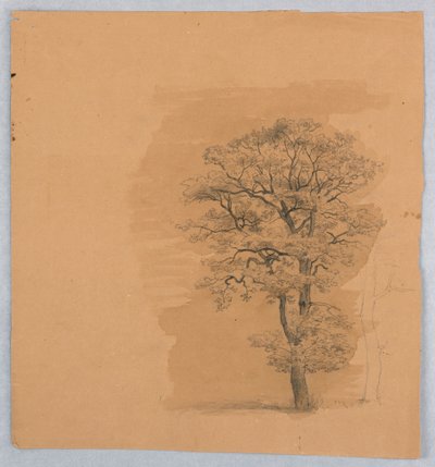 Lehdistöjen tutkimus tekijältä William Stanley Haseltine