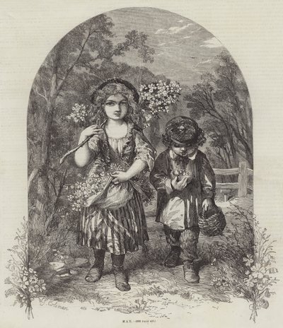 saattaa tekijältä William Stephen Coleman