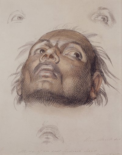 Tutkimus itä-intiaanien päästä, n. 1875 (kynä ja pesuaine paperille) tekijältä William Strutt
