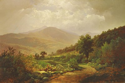Bouquet Valley Adirondacksissa tekijältä William Trost Richards