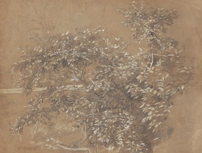 Lehvistö tekijältä William Trost Richards