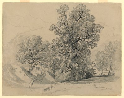 Maisema, Lauterbrunnen, Sveitsi tekijältä William Trost Richards
