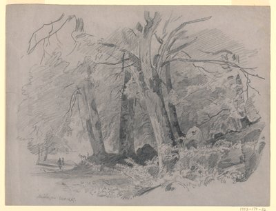 Maisema, Meiringen, Sveitsi tekijältä William Trost Richards