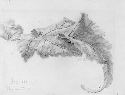 Lehdet tekijältä William Trost Richards