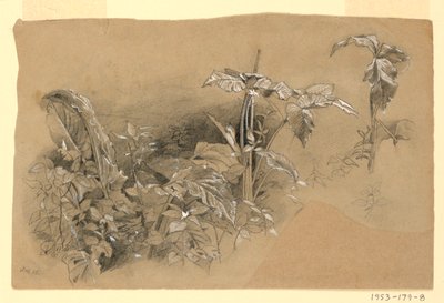 Lehdistöjen tutkimus tekijältä William Trost Richards