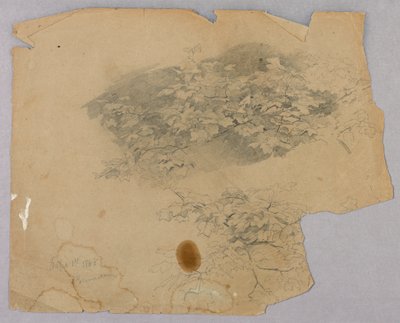 Lehdistöjen tutkimus tekijältä William Trost Richards
