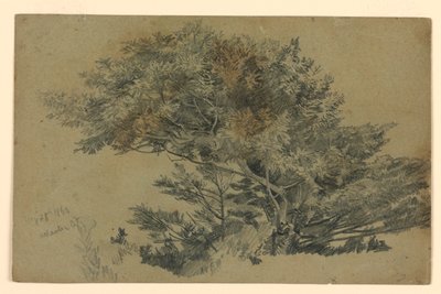 Lehdistöjen tutkimus tekijältä William Trost Richards