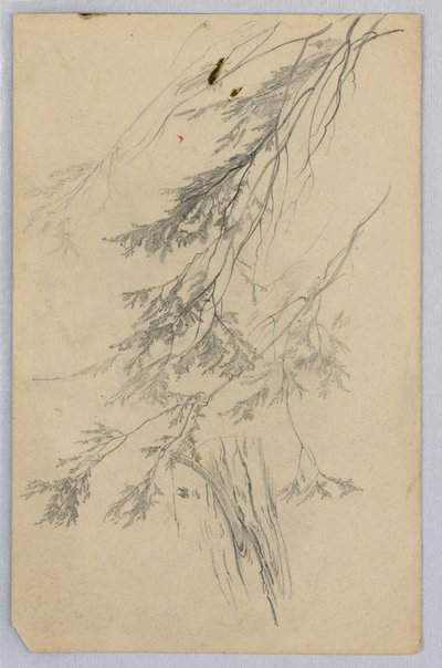 Lehdistöjen tutkimus tekijältä William Trost Richards